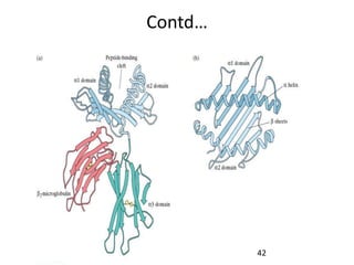 Santosh Yadav
Contd…
42
 