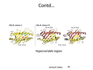 Santosh Yadav
Contd…
Hypervariable region
44
 