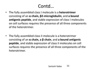 Santosh Yadav
Contd…
• The fully assembled class I molecule is a heterotrimer
consisting of an α chain, β2-microglobulin, and a bound
antigenic peptide, and stable expression of class I molecules
on cell surfaces requires the presence of all three components
of the heterotrimer.
• The fully assembled class II molecule is a heterotrimer
consisting of an α chain, a β chain, and a bound antigenic
peptide, and stable expression of class II molecules on cell
surfaces requires the presence of all three components of the
heterotrimer.
53
 