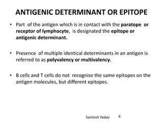 Santosh Yadav
ANTIGENIC DETERMINANT OR EPITOPE
• Part of the antigen which is in contact with the paratope or
receptor of lymphocyte, is designated the epitope or
antigenic determinant.
• Presence of multiple identical determinants in an antigen is
referred to as polyvalency or multivalency.
• B cells and T cells do not recognise the same epitopes on the
antigen molecules, but different epitopes.
6
 