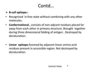 Santosh Yadav
Contd…
 B-cell epitope:-
• Recognised in free state without combining with any other
molecules.
• Conformational , consists of non-adjcent residues placed far
away from each other in primary structure. Brought together
during three dimensional folding of antigen . Destroyed by
denaturation.
• Linear epitope,foremed by adjacent linear amino acid
residues present in accessible region. Not destroyed by
denaturation.
7
 
