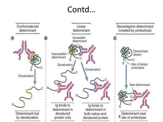 Santosh Yadav
Contd…
8
 