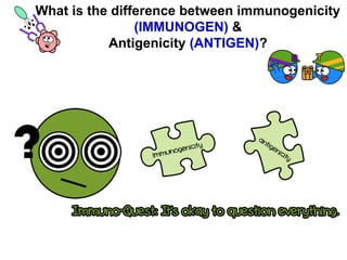 antigen & antibodies.pptx functions of antibodies | PPTX