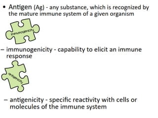 antigen & antibodies.pptx functions of antibodies | PPTX