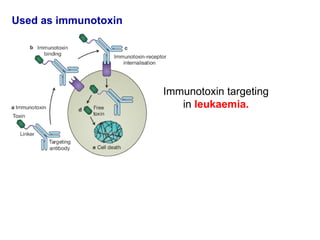 antigen & antibodies.pptx functions of antibodies | PPTX