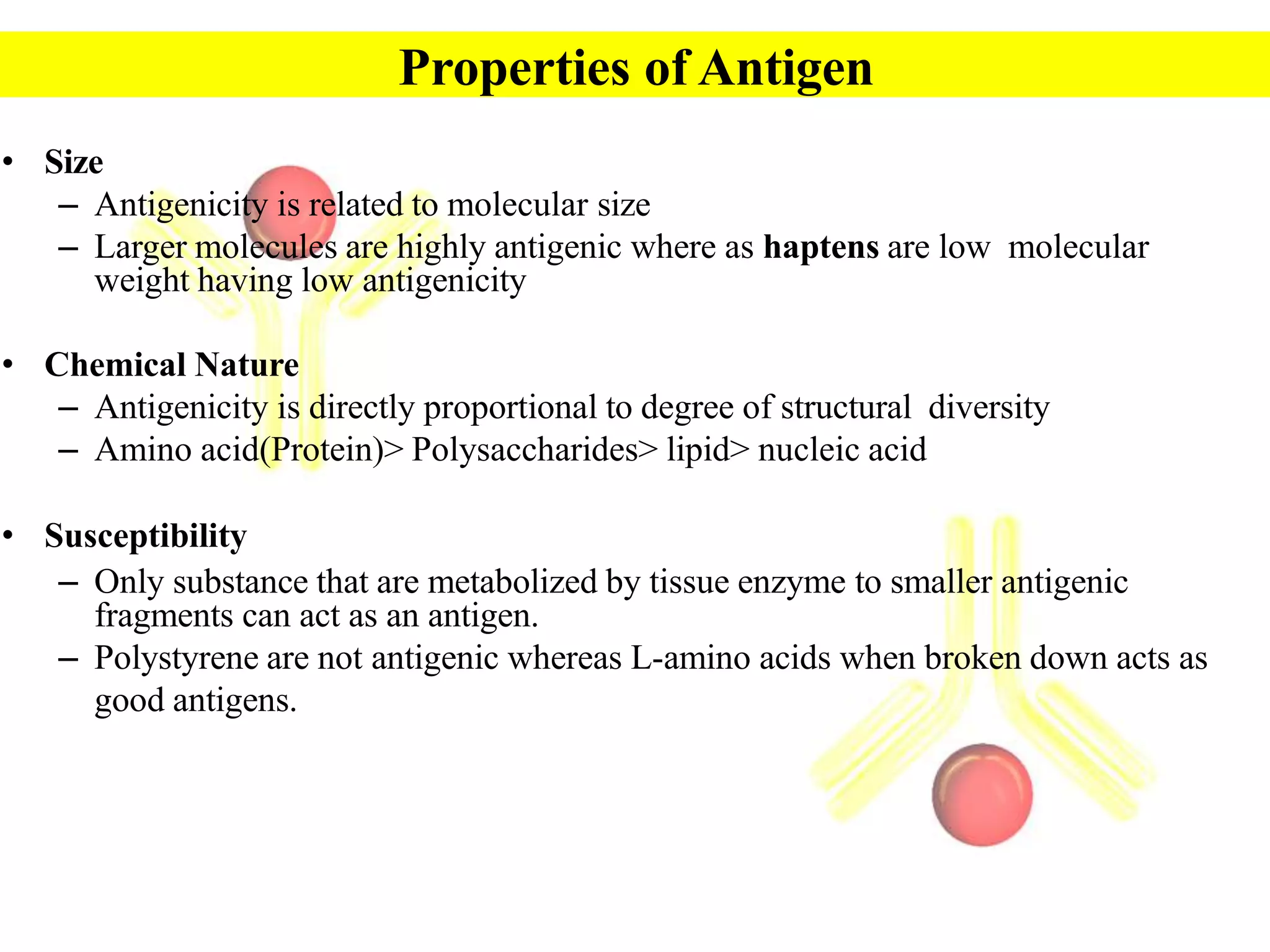 Properties Of Effective Antigens Include All Of The Following Except