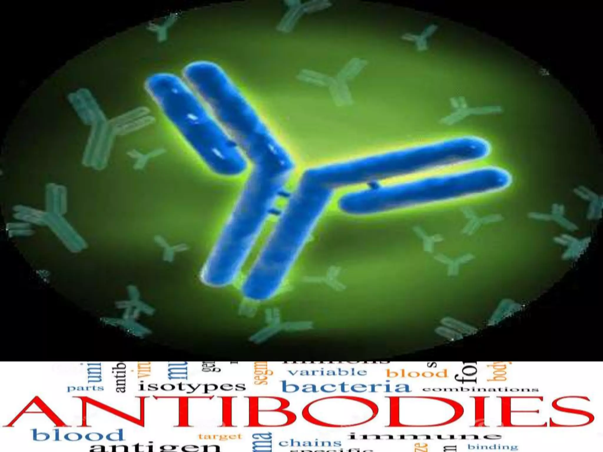 Antigens & Antibodies- All you have to know | PPTX