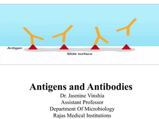 Antigens and Antibodies
Dr. Jasmine Vinshia
Assistant Professor
Department Of Microbiology
Rajas Medical Institutions
 