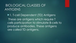 BIOLOGICAL CLASSES OF
ANTIGENS
1. T-cell Dependent (TD) Antigens
These are antigens which require T
cells participation to stimulate B-cells to
produce antibodies. These antigens
are called TD antigens.
 