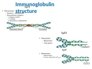 Antigen & Antibody.pptx role in immune systems | PPT