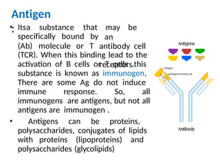 Antigen & Antibody.pptx role in immune systems | PPT