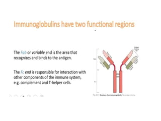 Antigen & Antibody.pptx role in immune systems | PPTX