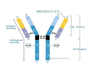 Antigen & Antibody.pptx role in immune systems | PPTX