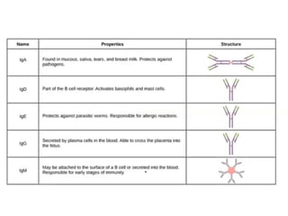 Antigen & Antibody.pptx role in immune systems | PPT