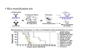 • Mice neutralization test
 