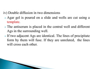 iv) Double diffusion in two dimensions
 Agar gel is poured on a slide and wells are cut using a
template.
 The antiserum is placed in the central well and different
Ags in the surrounding well.
 If two adjacent Ags are identical. The lines of precipitate
form by them will fuse. If they are unrelated, the lines
will cross each other.
 