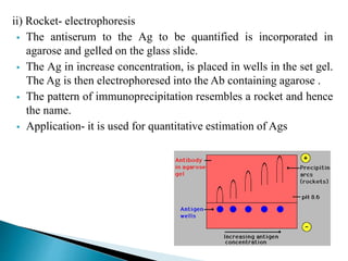 ii) Rocket- electrophoresis
 The antiserum to the Ag to be quantified is incorporated in
agarose and gelled on the glass slide.
 The Ag in increase concentration, is placed in wells in the set gel.
The Ag is then electrophoresed into the Ab containing agarose .
 The pattern of immunoprecipitation resembles a rocket and hence
the name.
 Application- it is used for quantitative estimation of Ags
 
