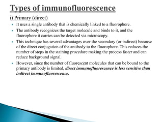 i) Primary (direct)
 It uses a single antibody that is chemically linked to a fluorophore.
 The antibody recognizes the target molecule and binds to it, and the
fluorophore it carries can be detected via microscopy.
 This technique has several advantages over the secondary (or indirect) because
of the direct conjugation of the antibody to the fluorophore. This reduces the
number of steps in the staining procedure making the process faster and can
reduce background signal.
 However, since the number of fluorescent molecules that can be bound to the
primary antibody is limited, direct immunofluorescence is less sensitive than
indirect immunofluorescence.
 