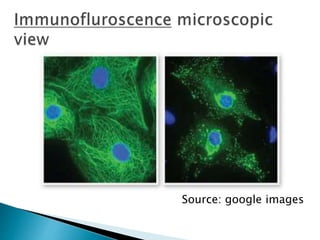 Source: google images
 