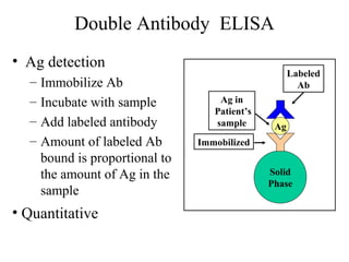 Double Antibody ELISA
• Ag detection
– Immobilize Ab
– Incubate with sample
– Add labeled antibody
– Amount of labeled Ab
bound is proportional to
the amount of Ag in the
sample
• Quantitative
Solid
Phase
Ag
Immobilized
Ag in
Patient’s
sample
Labeled
Ab
 
