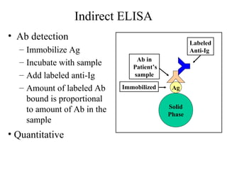 Indirect ELISA
• Ab detection
– Immobilize Ag
– Incubate with sample
– Add labeled anti-Ig
– Amount of labeled Ab
bound is proportional
to amount of Ab in the
sample
• Quantitative
Solid
Phase
AgImmobilized
Ab in
Patient’s
sample
Labeled
Anti-Ig
 