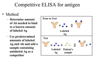 Competitive ELISA for antigen
• Method
– Determine amount
of Ab needed to bind
to a known amount
of labeled Ag
+ 
Prior to Test
Labeled
Ag
+ 
Test
+
Patient’s
sample
Labeled
Ag
+
– Use predetermined
amounts of labeled
Ag and Ab and add a
sample containing
unlabeled Ag as a
competitor
 