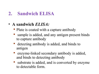 2. Sandwich ELISA
• A sandwich ELISA:
 Plate is coated with a capture antibody
 sample is added, and any antigen present binds
to capture antibody
 detecting antibody is added, and binds to
antigen
 enzyme-linked secondary antibody is added,
and binds to detecting antibody
 substrate is added, and is converted by enzyme
to detectable form.
 