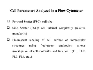 Cell Parameters Analyzed in a Flow CytometerCell Parameters Analyzed in a Flow Cytometer
 Forward Scatter (FSC): cell size
 Side Scatter (SSC): cell internal complexity (relative
granularity)
 Fluorescent labeling of cell surface or intracellular
structures using fluorescent antibodies: allows
investigation of cell molecules and function (FLI, FL2,
FL3, FL4, etc..)
 
