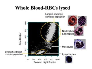 Whole Blood-RBCs lysedWhole Blood-RBCs lysed
Largest and most
complex population
1000
SideScatter
Forward Light Scatter
0 200 400 600 800
02004006008001000
Smallest and least
complex population
Neutrophils
Eosinophils
Monocytes
Lymphocytes
 