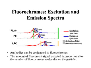 Fluorochromes: Excitation andFluorochromes: Excitation and
Emission SpectraEmission Spectra
• Antibodies can be conjugated to fluorochromes
• The amount of fluorescent signal detected is proportional to
the number of fluorochrome molecules on the particle.
 