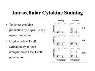 Intracellular Cytokine StainingIntracellular Cytokine Staining
• To detect cytokine
production by a specific cell
upon stimulation
• Used to define T cell
activation by epitope
recognition and the T cell
polarization
 