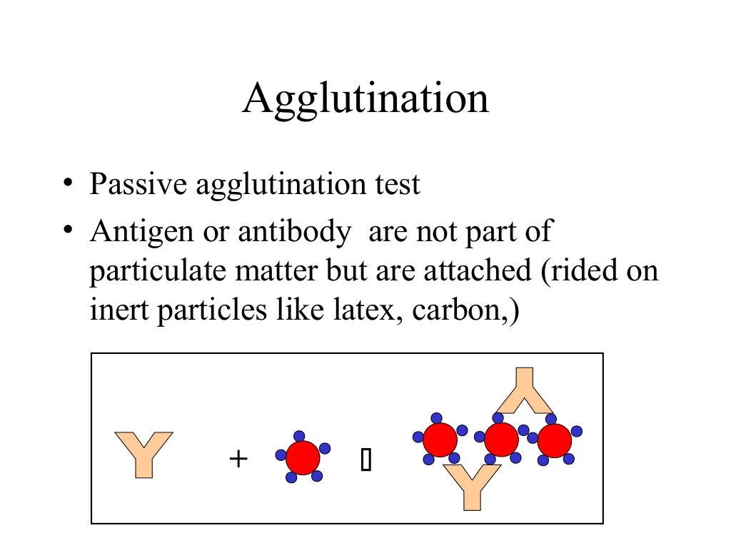 Antigen antibody interaction