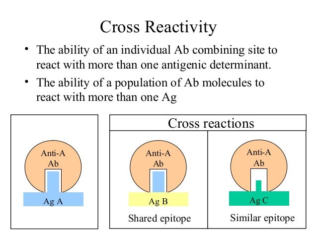 Antigen Antibody Interaction