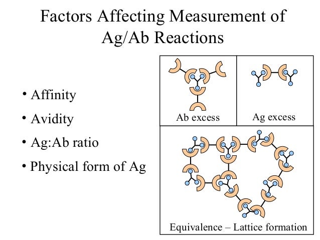antibody reactivity and specificity