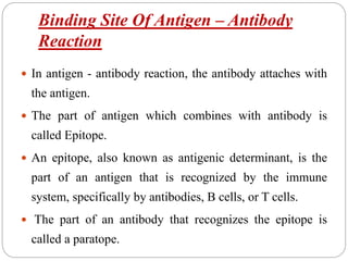 Binding Site Of Antigen – Antibody
Reaction
 In antigen - antibody reaction, the antibody attaches with
the antigen.
 The part of antigen which combines with antibody is
called Epitope.
 An epitope, also known as antigenic determinant, is the
part of an antigen that is recognized by the immune
system, specifically by antibodies, B cells, or T cells.
 The part of an antibody that recognizes the epitope is
called a paratope.
 