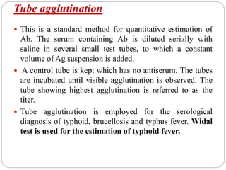 Tube agglutination
 This is a standard method for quantitative estimation of
Ab. The serum containing Ab is diluted serially with
saline in several small test tubes, to which a constant
volume of Ag suspension is added.
 A control tube is kept which has no antiserum. The tubes
are incubated until visible agglutination is observed. The
tube showing highest agglutination is referred to as the
titer.
 Tube agglutination is employed for the serological
diagnosis of typhoid, brucellosis and typhus fever. Widal
test is used for the estimation of typhoid fever.
 