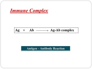 Immune Complex
 