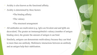 • Avidity is also known as the functional affinity.
• Avidity is determined by three factors:
•The binding affinity
•The valency
•The structural arrangement
• All antibodies are multivalent (e.g. IgGs are bivalent and and IgMs are
decavalent} The greater an immunoglobulin's valency (number of antigen
binding sites), the greater the amount of antigen it can bind.
• Similarly, antigens can demonstrate multivalency because they can bind
to more than one antibody. Multimeric interactions between an antibody
and an antigen help their stabilisation.
 
