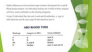 • Subtle differences in the terminal sugar residues distinguish the A and B
blood-group antigens. An individual lacking one or both of these antigens
will have serum antibodies to the missing antigen(s).
• A type O individual thus has anti-A and anti-B antibodies: a type A
individual has anti-B; and a type B individual has anti-A
 