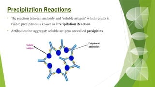 Precipitation Reactions
• The reaction between antibody and "soluble antigen" which results in
visible precipitates is known as Precipitation Reaction.
• Antibodies that aggregate soluble antigens are called precipitins
 