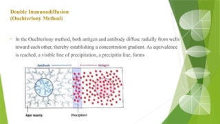 Double Immunodiffusion
(Ouchterlony Method)
• In the Ouchterlony method, both antigen and antibody diffuse radially from wells
toward each other, thereby establishing a concentration gradient. As equivalence
is reached, a visible line of precipitation, a precipitin line, forms
 