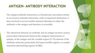 ANTIGEN- ANTIBODY INTERACTION
• The antigen-antibody interaction is a bimolecular association similar
to an enzyme-substrate interaction, with an important distinction: it
does not lead to an irreversible chemical alteration in either the
antibody or the antigen and therefore is reversible.
• The interaction between an antibody and an antigen involves various
noncovalent interactions between the antigenic determinant, or
epitope, of the antigen and the variable-region (V/Vi) domain of the
antibody molecule, particularly the hypervariable regions, or comple-
mentarity-determining regions (CDRs).
 