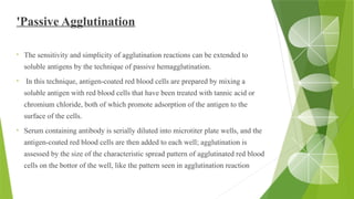 'Passive Agglutination
• The sensitivity and simplicity of agglutination reactions can be extended to
soluble antigens by the technique of passive hemagglutination.
• In this technique, antigen-coated red blood cells are prepared by mixing a
soluble antigen with red blood cells that have been treated with tannic acid or
chromium chloride, both of which promote adsorption of the antigen to the
surface of the cells.
• Serum containing antibody is serially diluted into microtiter plate wells, and the
antigen-coated red blood cells are then added to each well; agglutination is
assessed by the size of the characteristic spread pattern of agglutinated red blood
cells on the bottor of the well, like the pattern seen in agglutination reaction
 