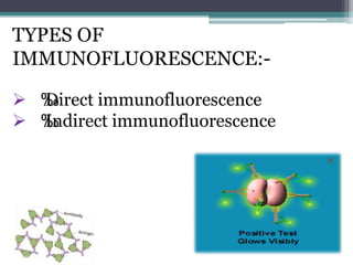 TYPES OF 
IMMUNOFLUORESCENCE:- 
 ‰ Direct immunofluorescence 
 ‰ Indirect immunofluorescence 
 
