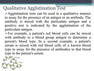 Qualitative Agglutination Test 
Agglutination tests can be used in a qualitative manner 
to assay for the presence of an antigen or an antibody. The 
antibody is mixed with the particulate antigen and a 
positive test is indicated by the agglutination of the 
particulate antigen. 
For example, a patient's red blood cells can be mixed 
with antibody to a blood group antigen to determine a 
person's blood type. In a second example, a patient's 
serum is mixed with red blood cells of a known blood 
type to assay for the presence of antibodies to that blood 
type in the patient's serum. 
 