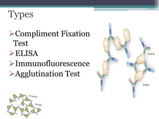 Types 
Compliment Fixation 
Test 
ELISA 
Immunofluorescence 
Agglutination Test 
 