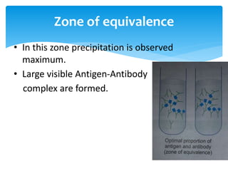 • In this zone precipitation is observed
maximum.
• Large visible Antigen-Antibody
complex are formed.
Zone of equivalence
 