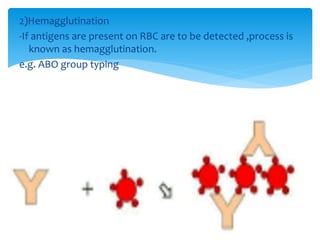 2)Hemagglutination
-If antigens are present on RBC are to be detected ,process is
known as hemagglutination.
e.g. ABO group typing
 
