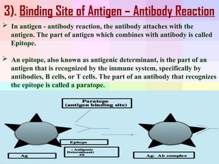 antigen antibody interactions antigen antibodies | PPTX