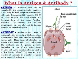 antigen antibody interactions antigen antibodies | PPTX